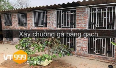 Xây chuồng gà chọi bằng gạch cực kỳ dễ làm và đơn giản, nhanh gọn