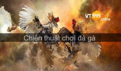 Chiến thuật chơi đá gà giúp anh em dễ dàng chiến thắng