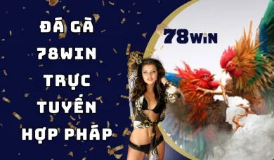 Đá gà 78WIN – Sảnh chơi cá cược trực tuyến HỢP PHÁP